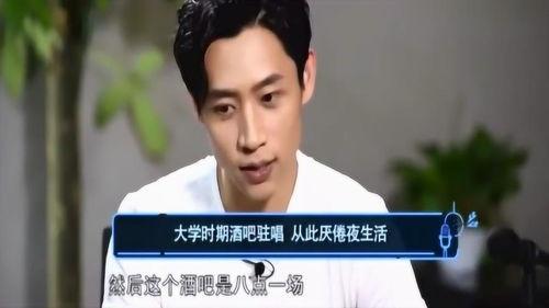 陆虎爆料魏晨视频大全集,视频大全集深度解析