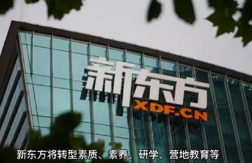 新东方最新爆料,揭秘教育行业变革与创新趋势 第2张 新东方最新爆料,揭秘教育行业变革与创新趋势 第2张